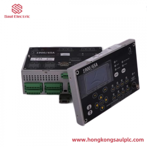 BENTLY 1900/65A Custom Processing Module for Industrial Control Systems