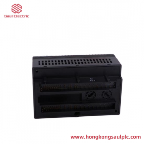 GE DS200FGPAG1AHD High-Performance PLC Module