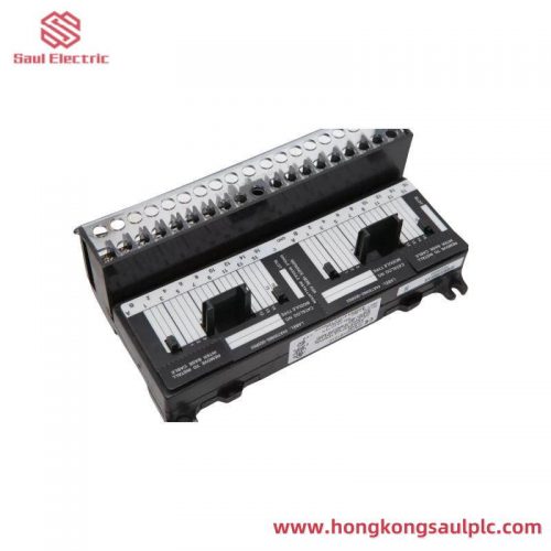 GE IC670CHS101 I/O Terminal Block for Field Control Applications