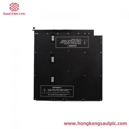 TRICONEX 4119A High-Reliability I/O Module